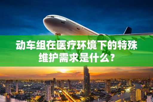 动车组在医疗环境下的特殊维护需求是什么？