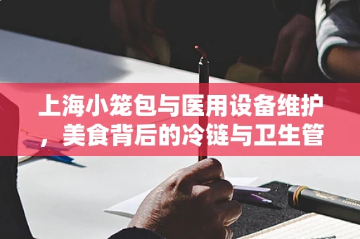 上海小笼包与医用设备维护，美食背后的冷链与卫生管理