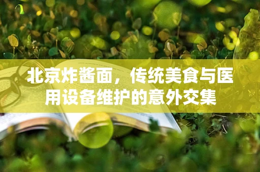 北京炸酱面，传统美食与医用设备维护的意外交集