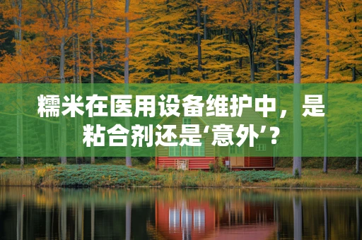 糯米在医用设备维护中，是粘合剂还是‘意外’？