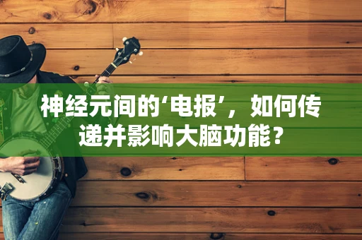 神经元间的‘电报’，如何传递并影响大脑功能？