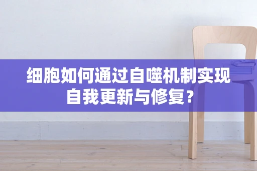 细胞如何通过自噬机制实现自我更新与修复？