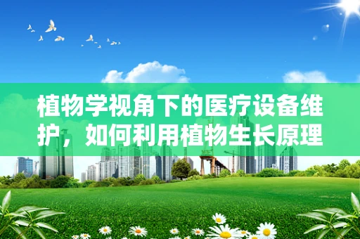 植物学视角下的医疗设备维护，如何利用植物生长原理优化设备环境？