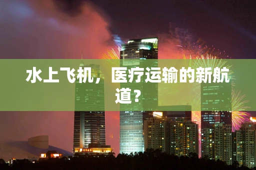 水上飞机，医疗运输的新航道？
