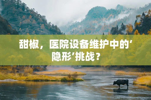 甜椒，医院设备维护中的‘隐形’挑战？