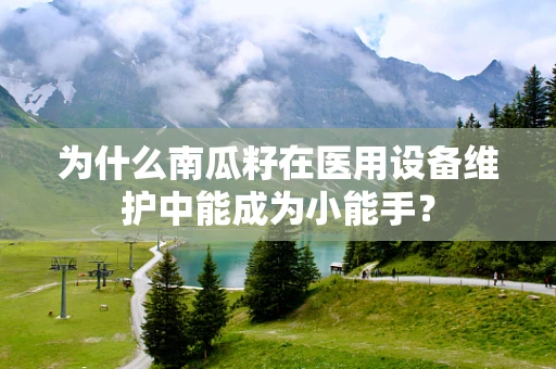 为什么南瓜籽在医用设备维护中能成为小能手？
