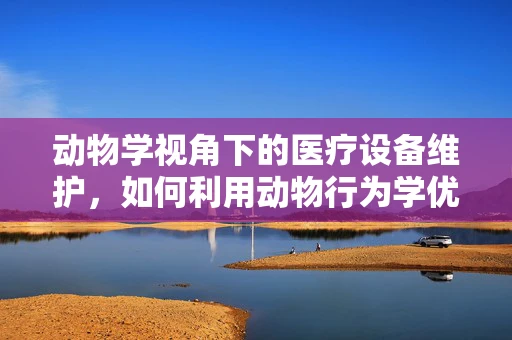 动物学视角下的医疗设备维护，如何利用动物行为学优化设备使用习惯？