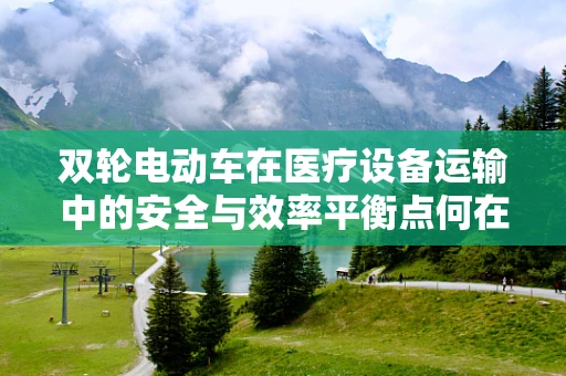 双轮电动车在医疗设备运输中的安全与效率平衡点何在？