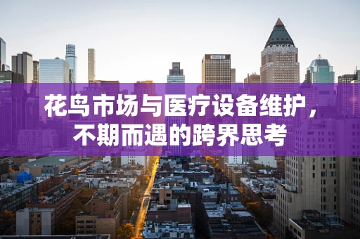 花鸟市场与医疗设备维护，不期而遇的跨界思考