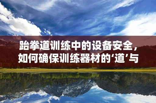 跆拳道训练中的设备安全，如何确保训练器材的‘道’与‘技’并重？