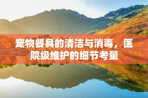 宠物餐具的清洁与消毒，医院级维护的细节考量