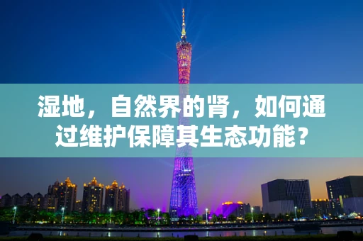 湿地，自然界的肾，如何通过维护保障其生态功能？