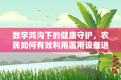 数字鸿沟下的健康守护，农民如何有效利用医用设备进行自我健康监测？