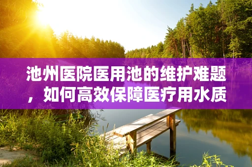 池州医院医用池的维护难题，如何高效保障医疗用水质量？
