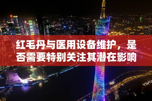 红毛丹与医用设备维护，是否需要特别关注其潜在影响？