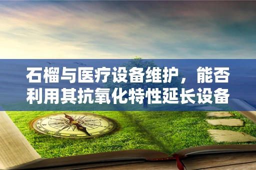 石榴与医疗设备维护，能否利用其抗氧化特性延长设备寿命？