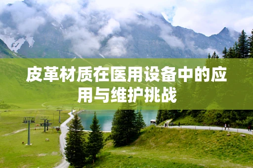 皮革材质在医用设备中的应用与维护挑战