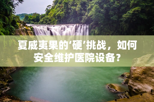 夏威夷果的‘硬’挑战，如何安全维护医院设备？