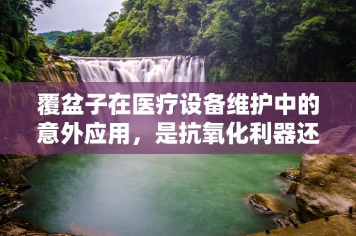 覆盆子在医疗设备维护中的意外应用，是抗氧化利器还是未知挑战？