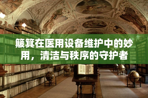 簸箕在医用设备维护中的妙用，清洁与秩序的守护者
