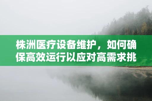 株洲医疗设备维护，如何确保高效运行以应对高需求挑战？