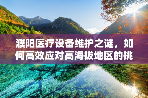 濮阳医疗设备维护之谜，如何高效应对高海拔地区的挑战？