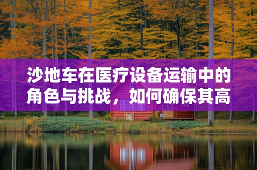 沙地车在医疗设备运输中的角色与挑战，如何确保其高效且安全地运作？