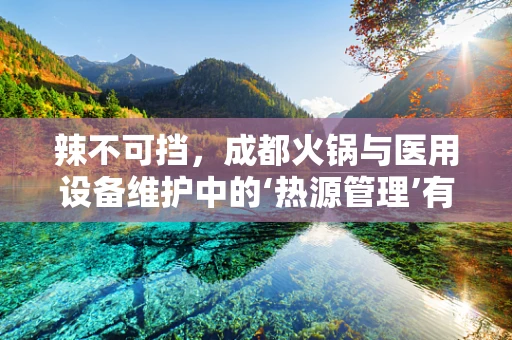 辣不可挡，成都火锅与医用设备维护中的‘热源管理’有何异曲同工之处？