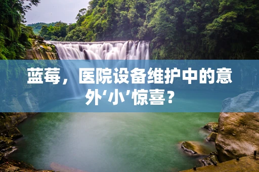 蓝莓，医院设备维护中的意外‘小’惊喜？