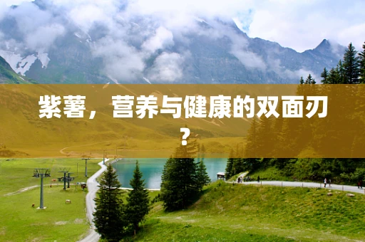 紫薯，营养与健康的双面刃？