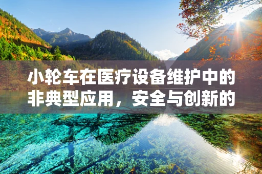 小轮车在医疗设备维护中的非典型应用，安全与创新的平衡