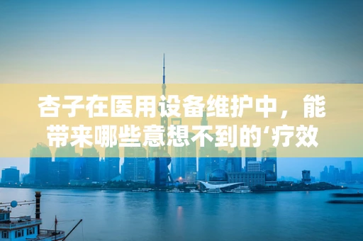 杏子在医用设备维护中，能带来哪些意想不到的‘疗效’？
