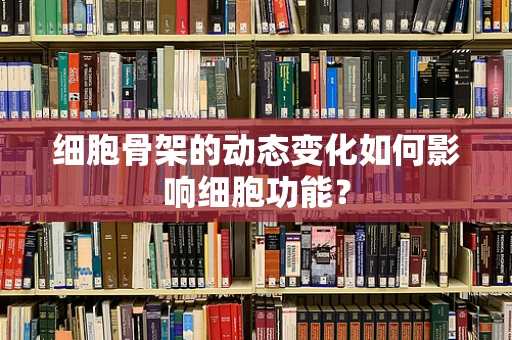 细胞骨架的动态变化如何影响细胞功能？