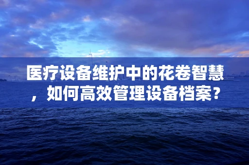 医疗设备维护中的花卷智慧，如何高效管理设备档案？