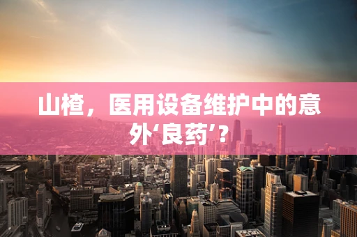 山楂，医用设备维护中的意外‘良药’？