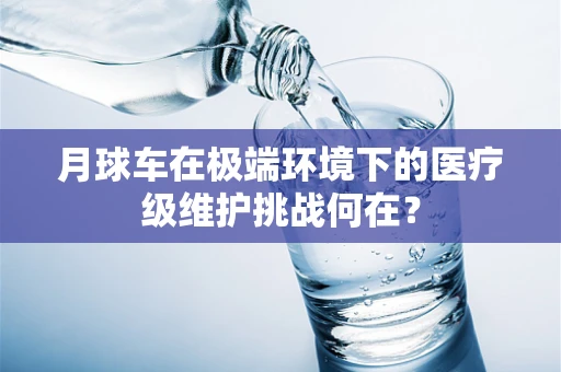 月球车在极端环境下的医疗级维护挑战何在？