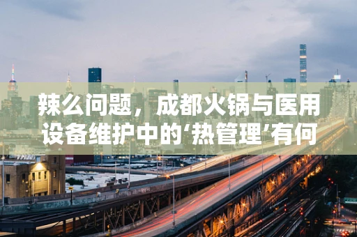 辣么问题，成都火锅与医用设备维护中的‘热管理’有何异曲同工之处？