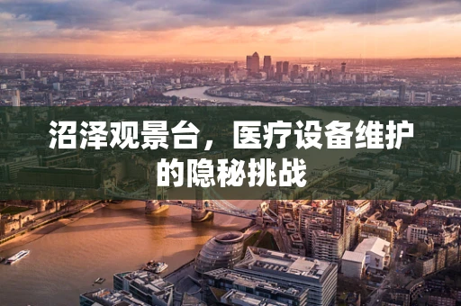 沼泽观景台，医疗设备维护的隐秘挑战