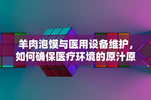 羊肉泡馍与医用设备维护，如何确保医疗环境的原汁原味