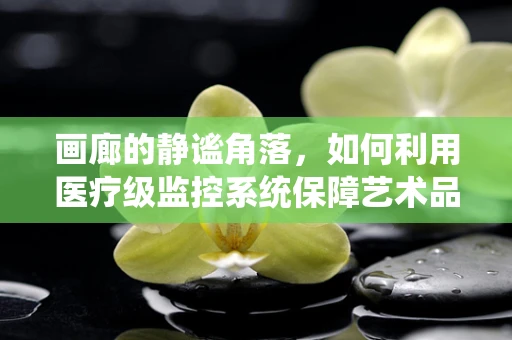 画廊的静谧角落，如何利用医疗级监控系统保障艺术品安全？