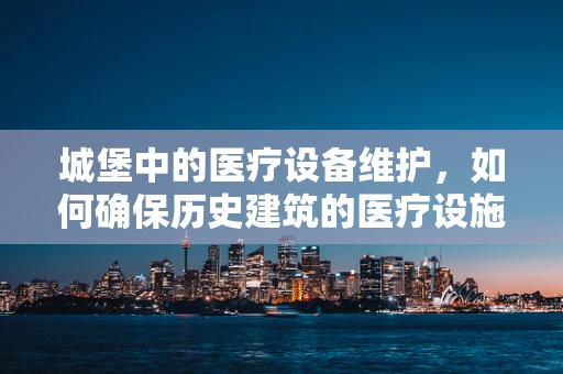 城堡中的医疗设备维护，如何确保历史建筑的医疗设施安全？