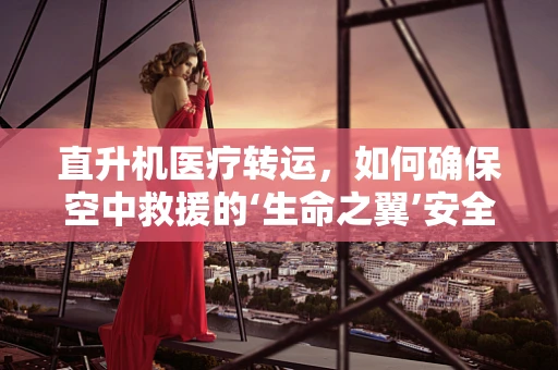 直升机医疗转运，如何确保空中救援的‘生命之翼’安全高效？