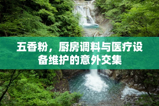 五香粉，厨房调料与医疗设备维护的意外交集