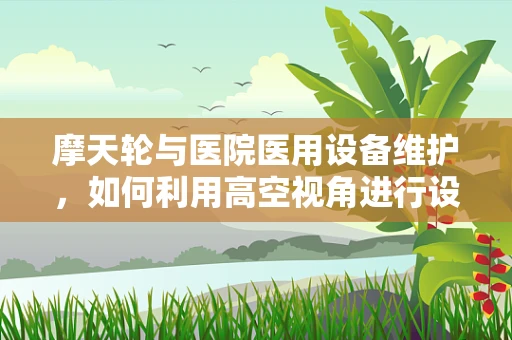 摩天轮与医院医用设备维护，如何利用高空视角进行设备检修？