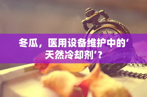 冬瓜，医用设备维护中的‘天然冷却剂’？