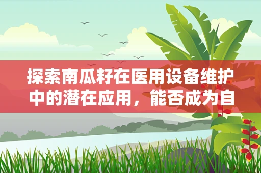 探索南瓜籽在医用设备维护中的潜在应用，能否成为自然界的润滑剂？