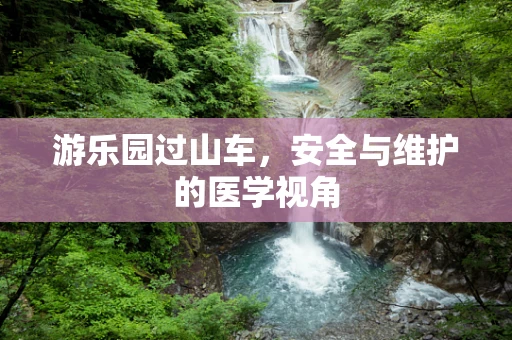 游乐园过山车，安全与维护的医学视角