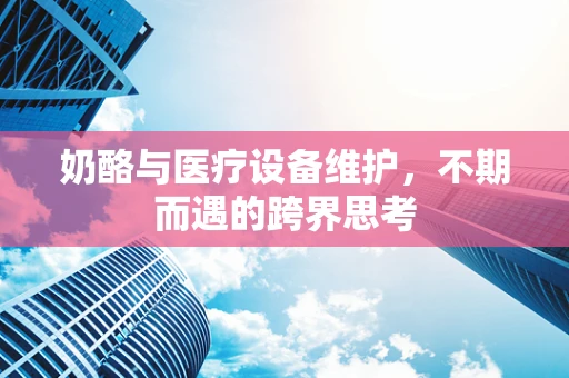 奶酪与医疗设备维护，不期而遇的跨界思考