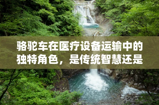 骆驼车在医疗设备运输中的独特角色，是传统智慧还是现代医疗的活化石？
