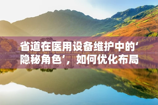 省道在医用设备维护中的‘隐秘角色’，如何优化布局以提升效率？